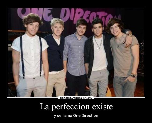 La perfeccion existe -