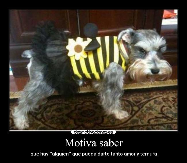 Motiva saber - que hay alguien que pueda darte tanto amor y ternura