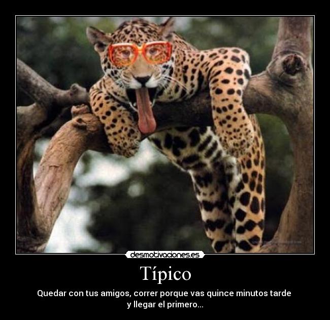 Típico - 