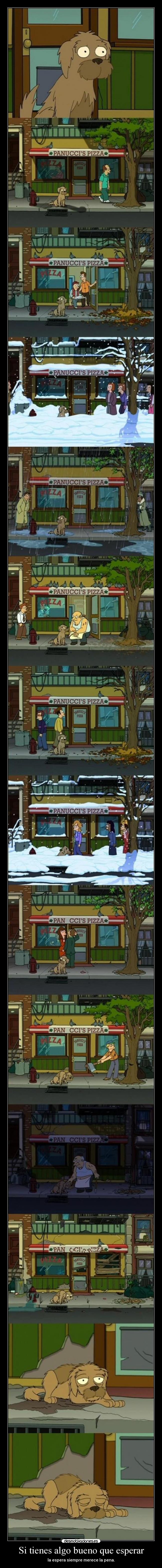 Si tienes algo bueno que esperar - 