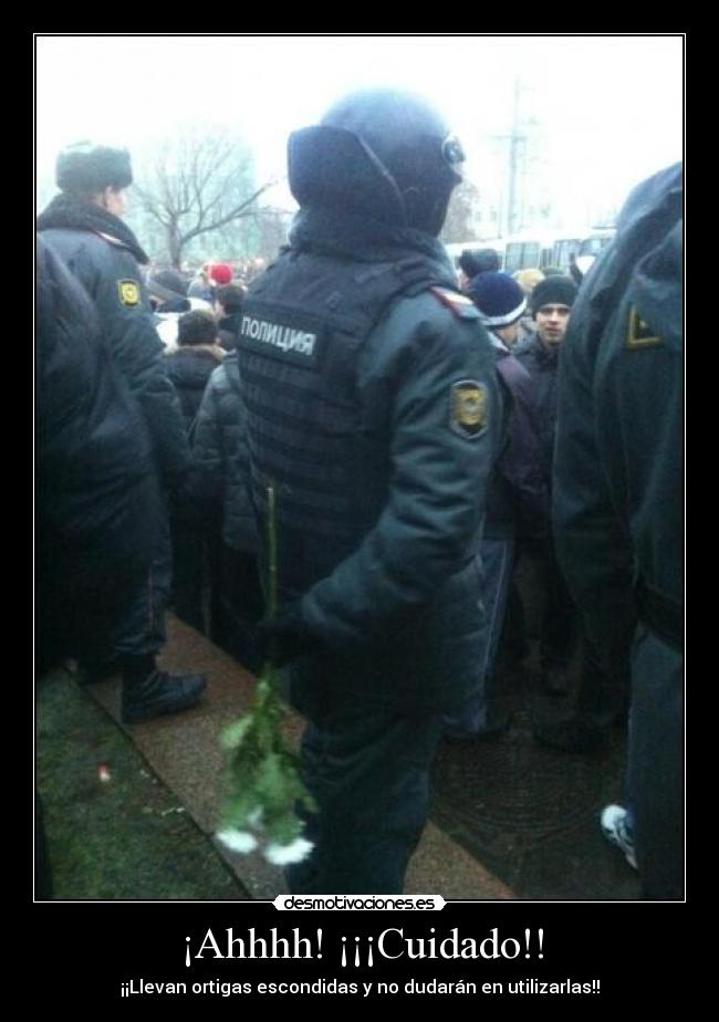 ¡Ahhhh! ¡¡¡Cuidado!! - ¡¡Llevan ortigas escondidas y no dudarán en utilizarlas!!