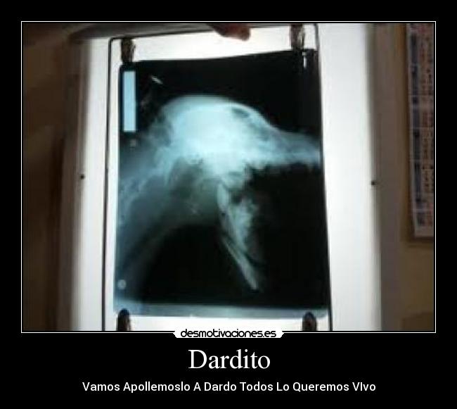 Dardito - Vamos Apollemoslo A Dardo Todos Lo Queremos VIvo