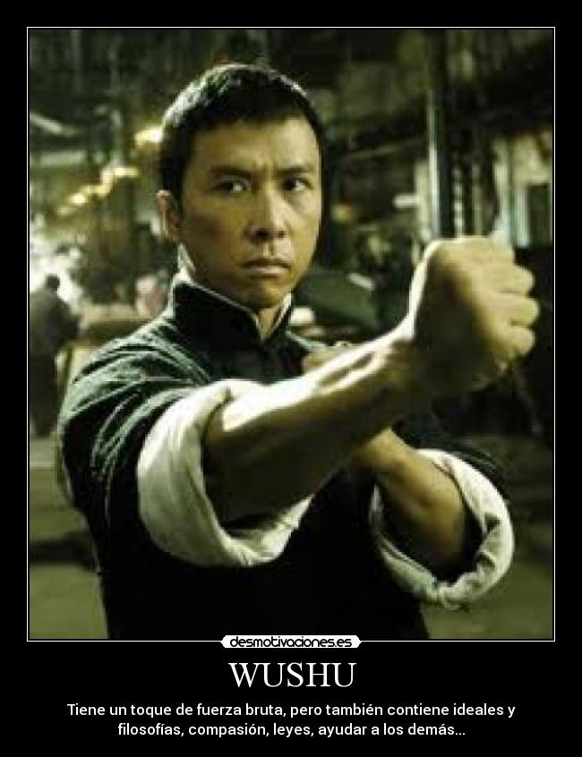 WUSHU - Tiene un toque de fuerza bruta, pero también contiene ideales y
filosofías, compasión, leyes, ayudar a los demás...