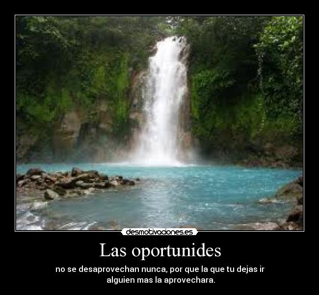 carteles frako desmotivaciones