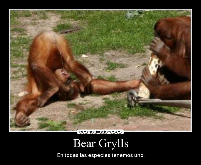 Bear Grylls - En todas las especies tenemos uno.