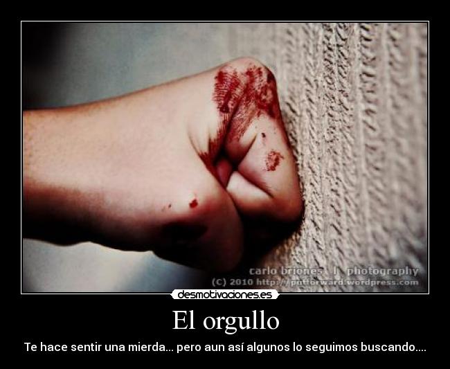 carteles orgullo desmotivaciones