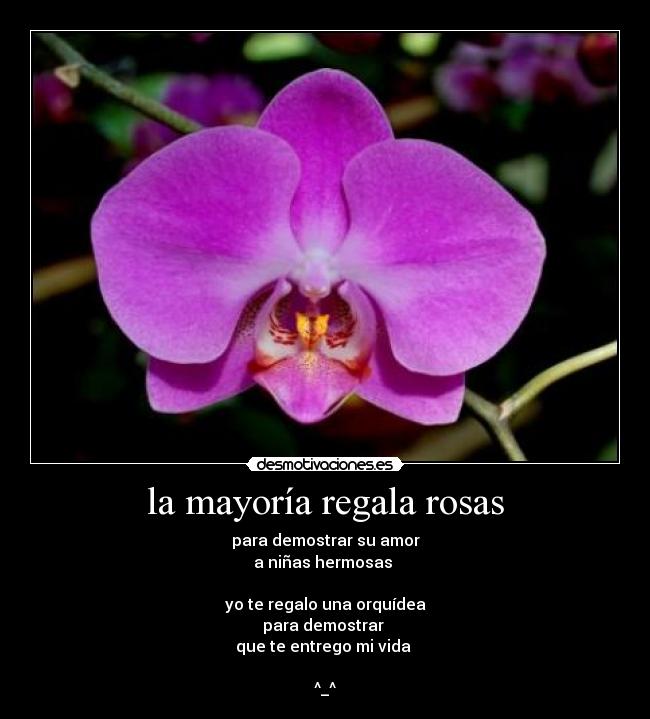 la mayoría regala rosas - para demostrar su amor
a niñas hermosas 

yo te regalo una orquídea
para demostrar 
que te entrego mi vida 

^_^