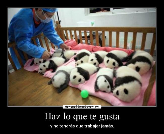 Haz lo que te gusta -