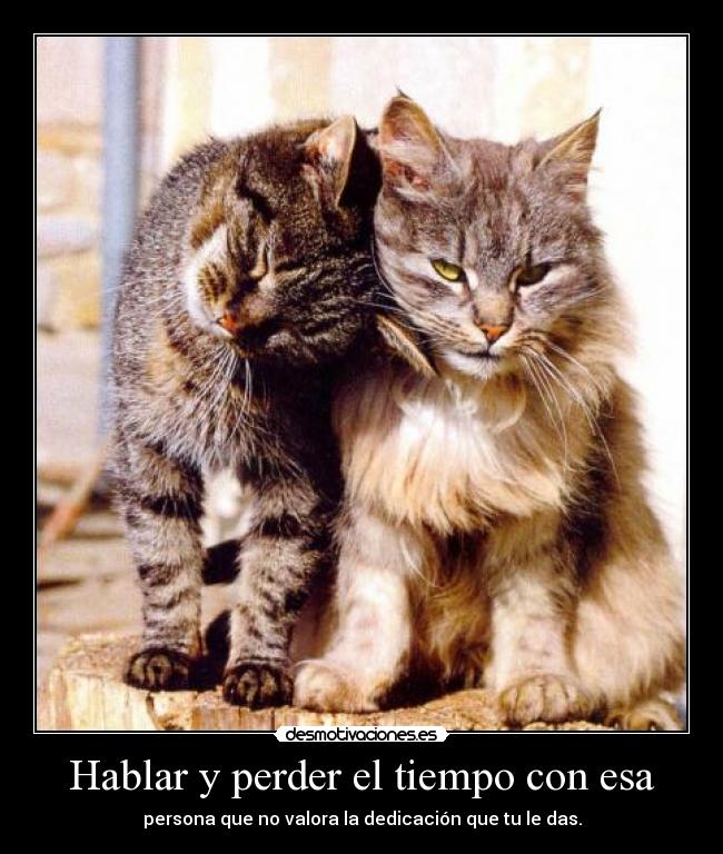 Hablar y perder el tiempo con esa -