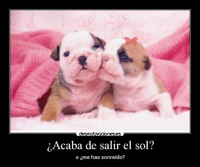 ¿Acaba de salir el sol? - o ¿me has sonreído?