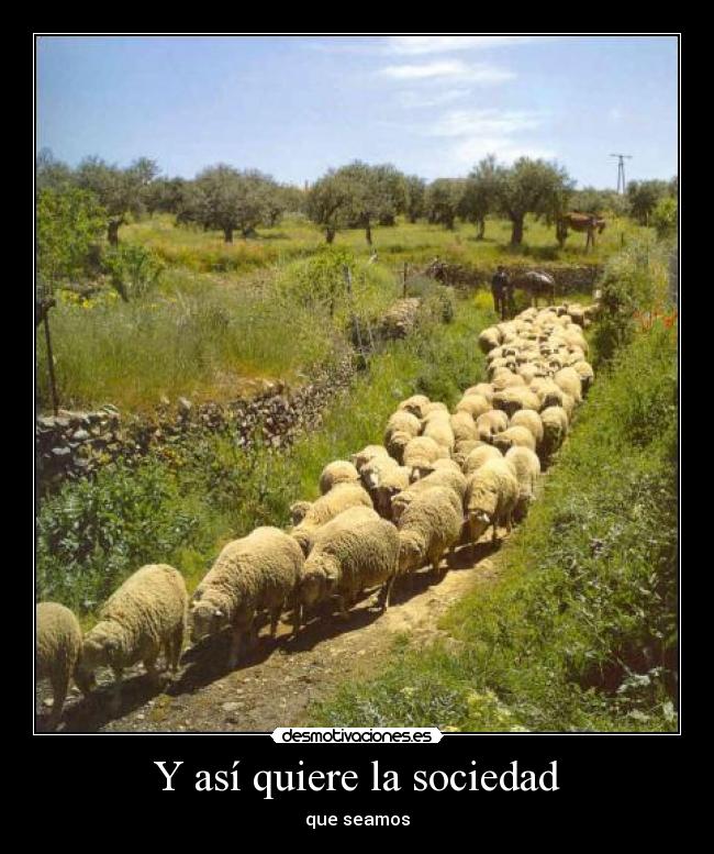 carteles sociedad secilo1 desmotivaciones