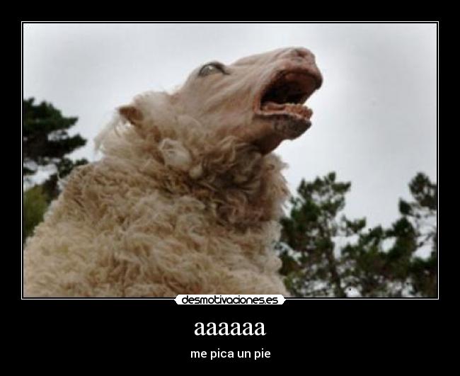 aaaaaa -