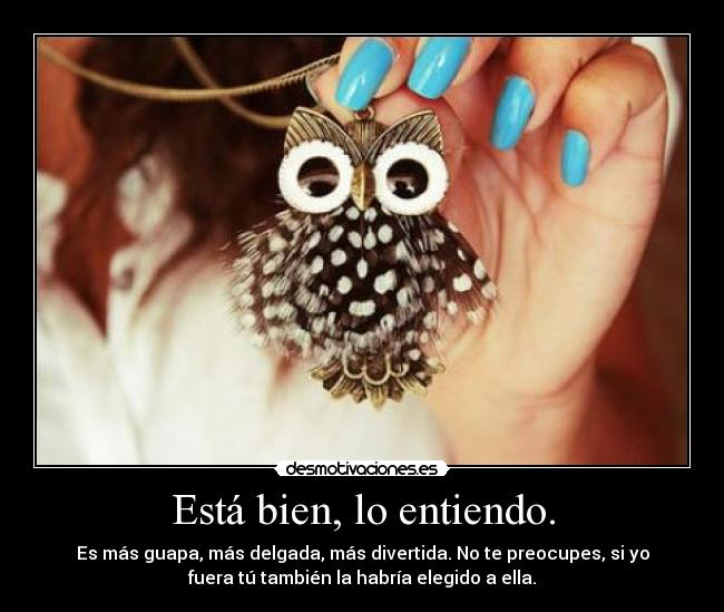 Está bien, lo entiendo. - Es más guapa, más delgada, más divertida. No te preocupes, si yo
fuera tú también la habría elegido a ella.