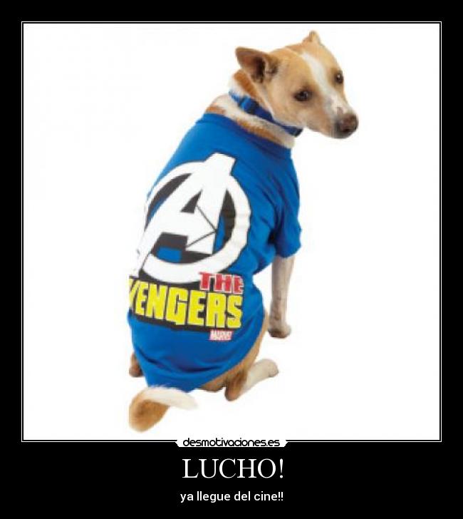LUCHO! - 