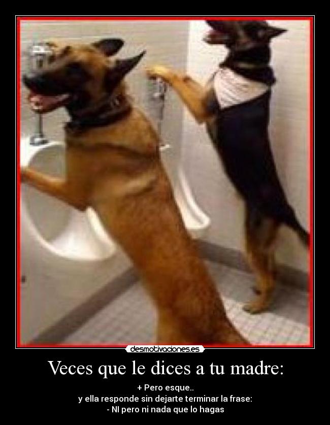 Veces que le dices a tu madre: - + Pero esque..
y ella responde sin dejarte terminar la frase:
- NI pero ni nada que lo hagas