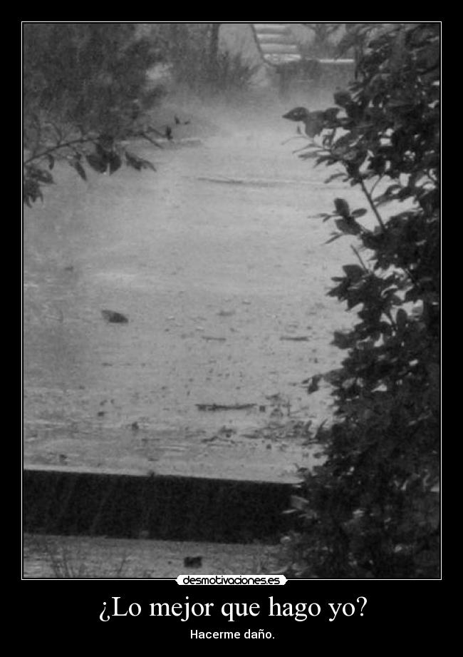 ¿Lo mejor que hago yo? - 