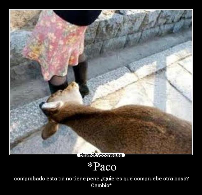 *Paco - comprobado esta tía no tiene pene ¿Quieres que compruebe otra cosa? Cambio*