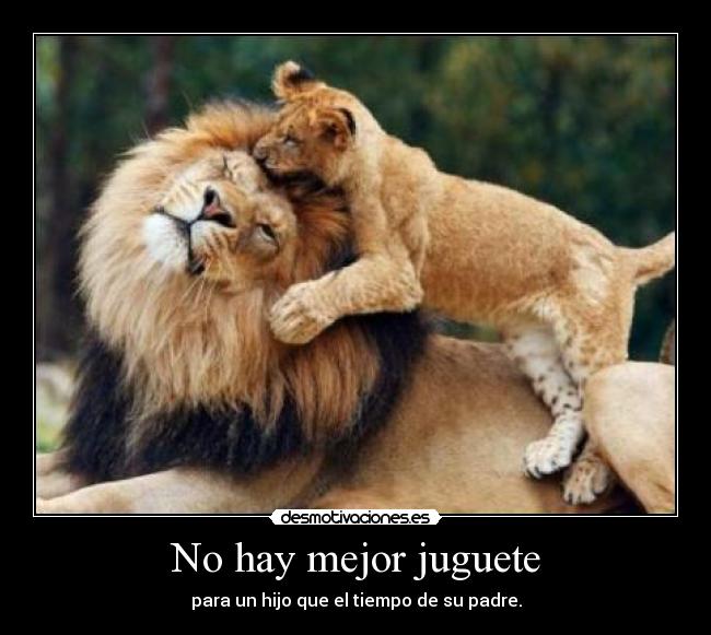 No hay mejor juguete - 