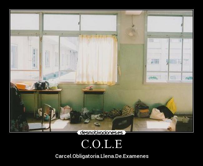 carteles pnpn desmotivaciones