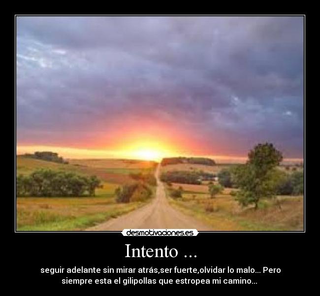 Intento ... - seguir adelante sin mirar atrás,ser fuerte,olvidar lo malo... Pero
siempre esta el gilipollas que estropea mi camino...
