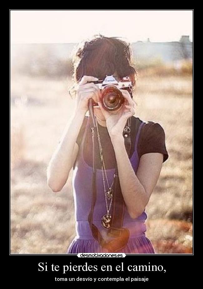 Si te pierdes en el camino, -
