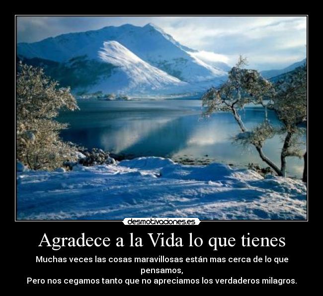 Agradece a la Vida lo que tienes - Muchas veces las cosas maravillosas están mas cerca de lo que pensamos,
Pero nos cegamos tanto que no apreciamos los verdaderos milagros.