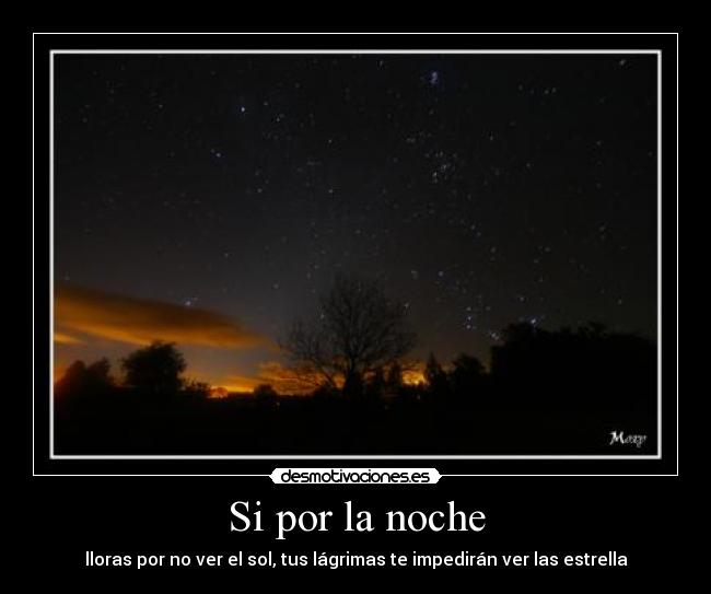 Si por la noche -