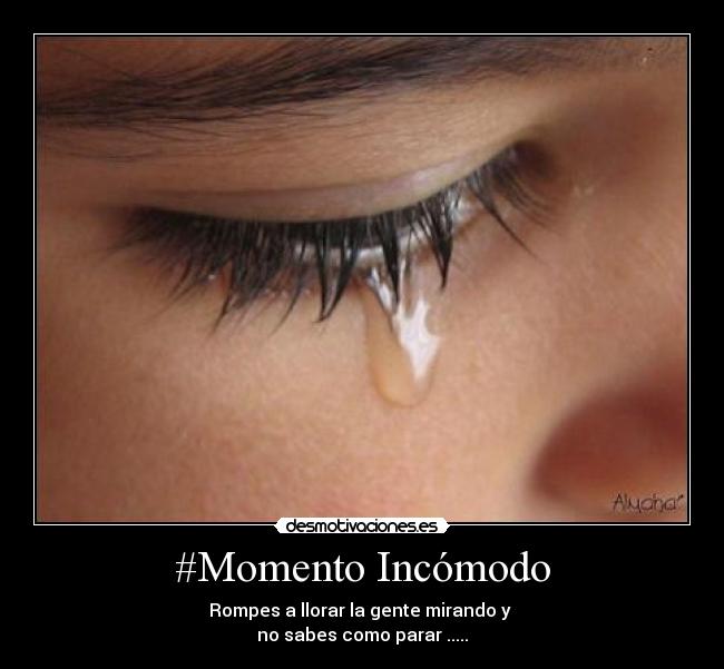 carteles grigrigrigri llorar desmotivaciones