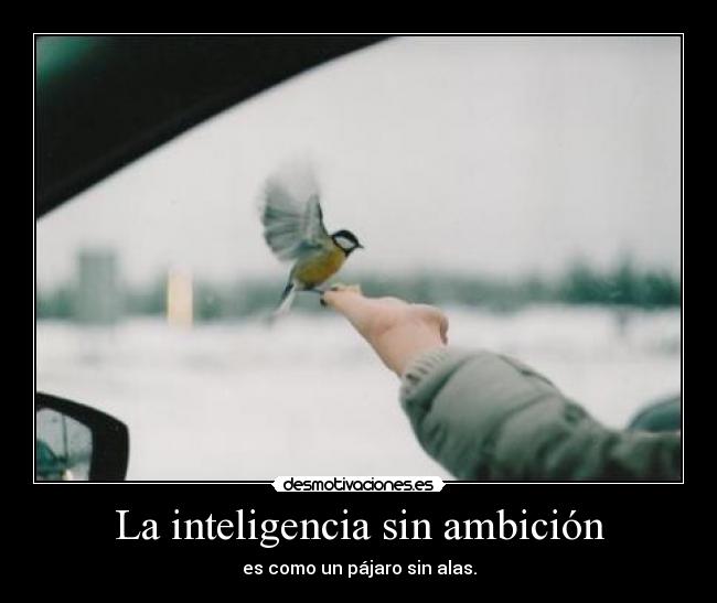 La inteligencia sin ambición -