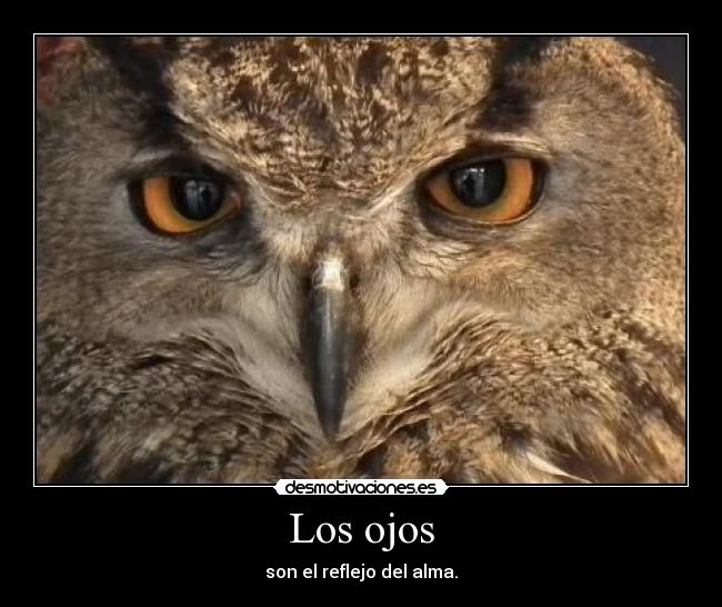 Los ojos - son el reflejo del alma.