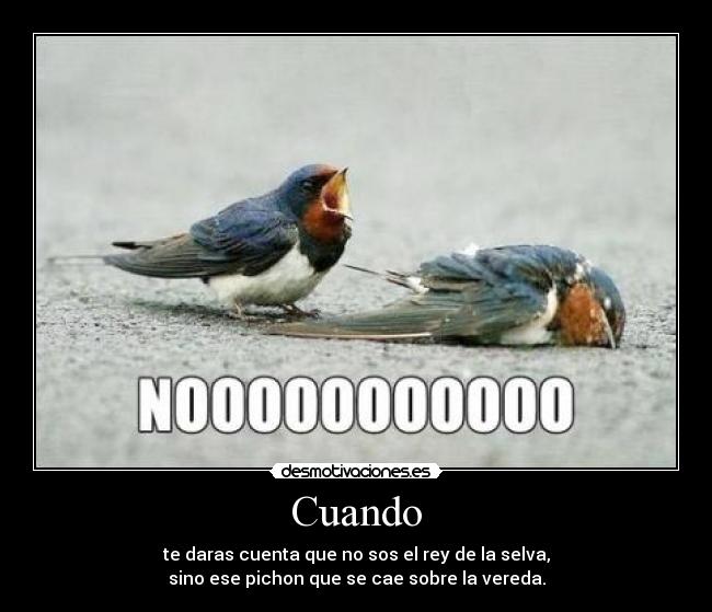 Cuando - te daras cuenta que no sos el rey de la selva,
sino ese pichon que se cae sobre la vereda.