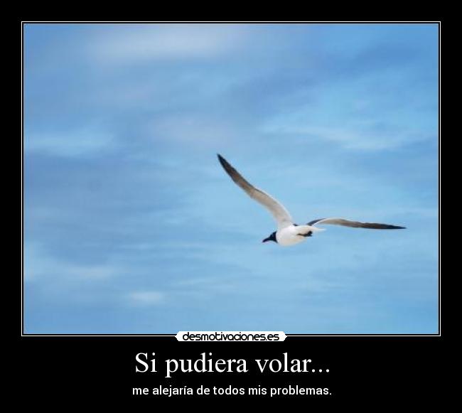 Si pudiera volar... - me alejaría de todos mis problemas.