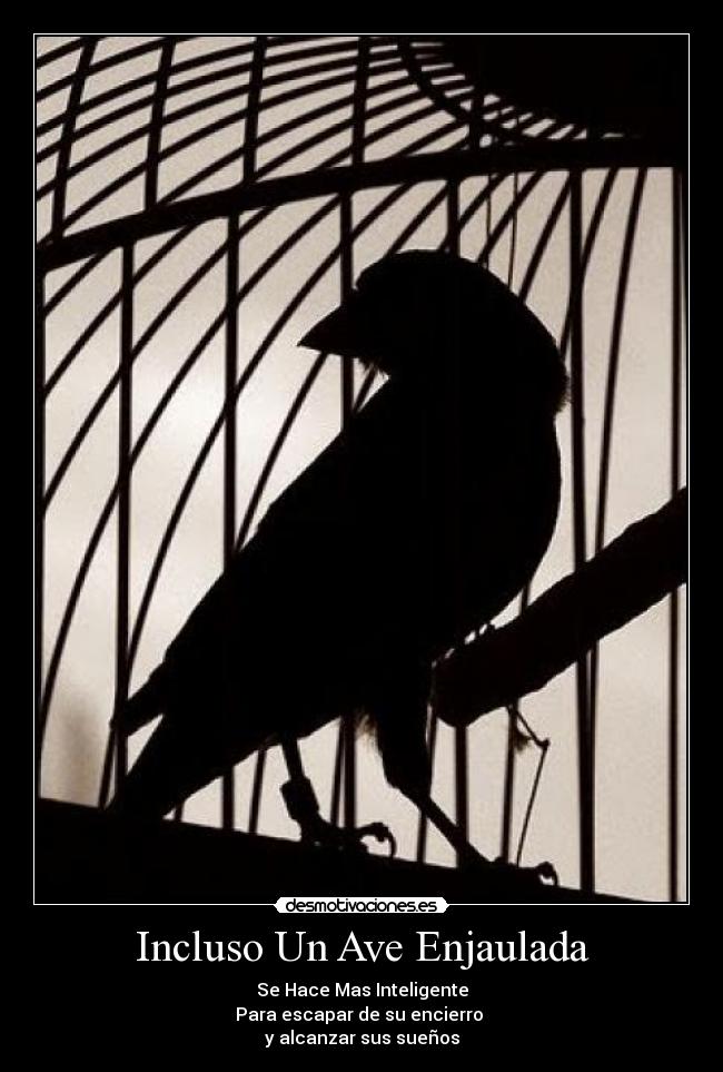 carteles luchar por alcanzar nuestras metas desmotivaciones