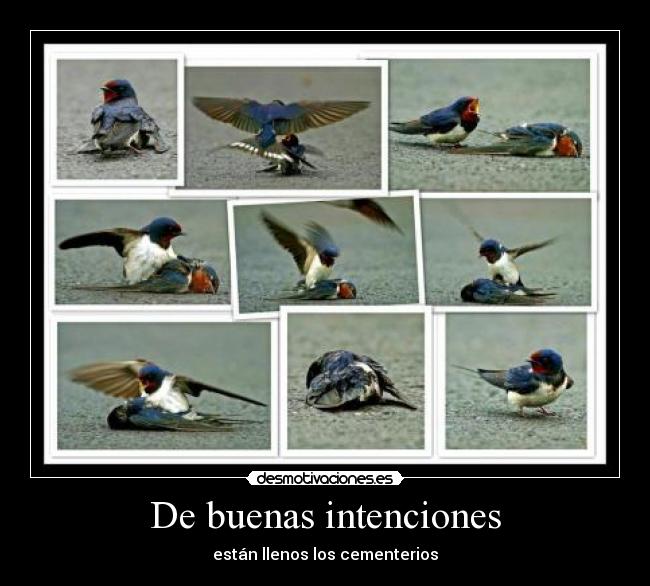 De buenas intenciones -