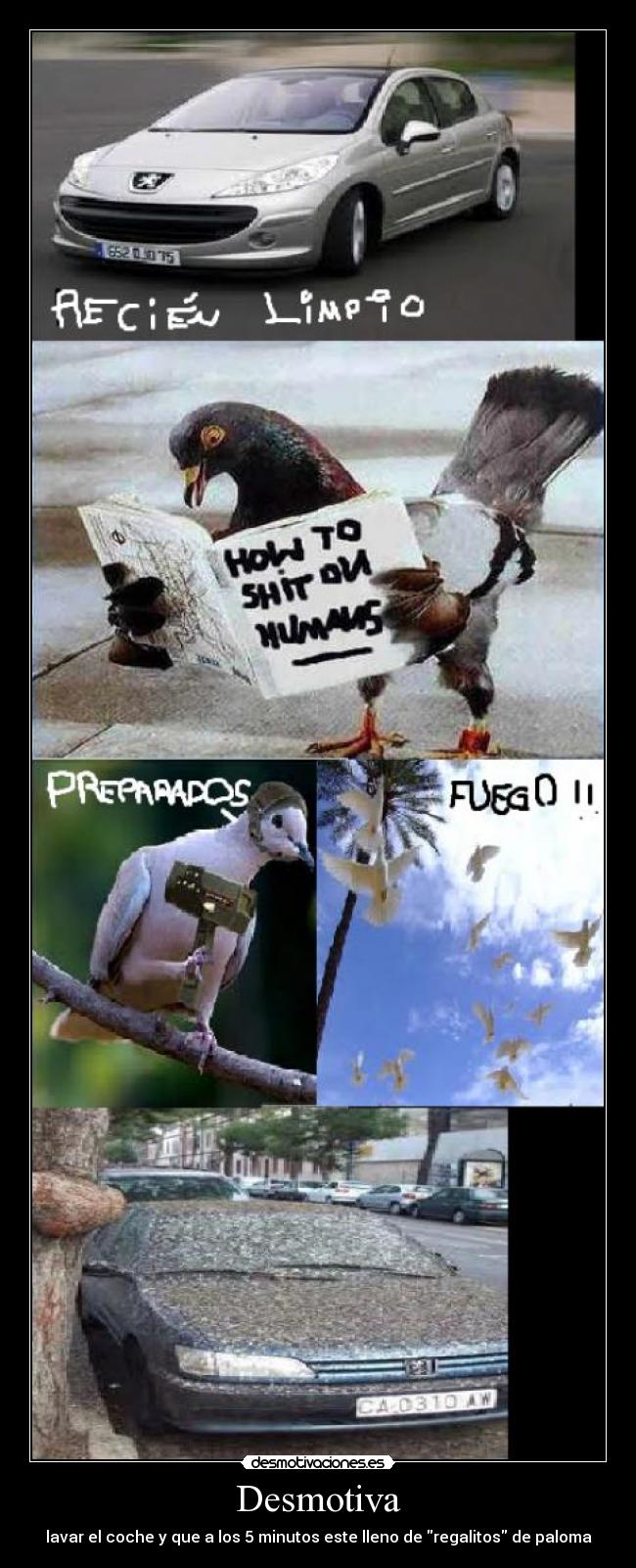 Desmotiva - lavar el coche y que a los 5 minutos este lleno de regalitos de paloma