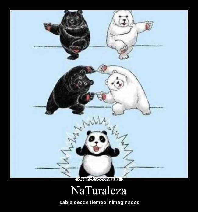 carteles naturaleza panda fusion goku desmotivaciones