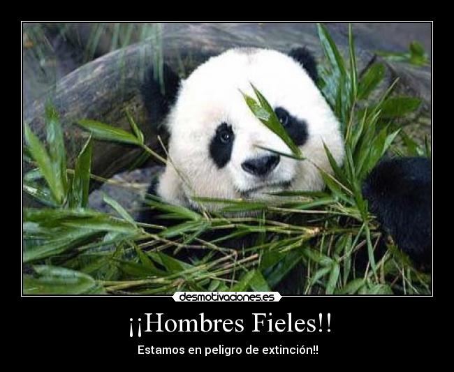 ¡¡Hombres Fieles!! - Estamos en peligro de extinción!!