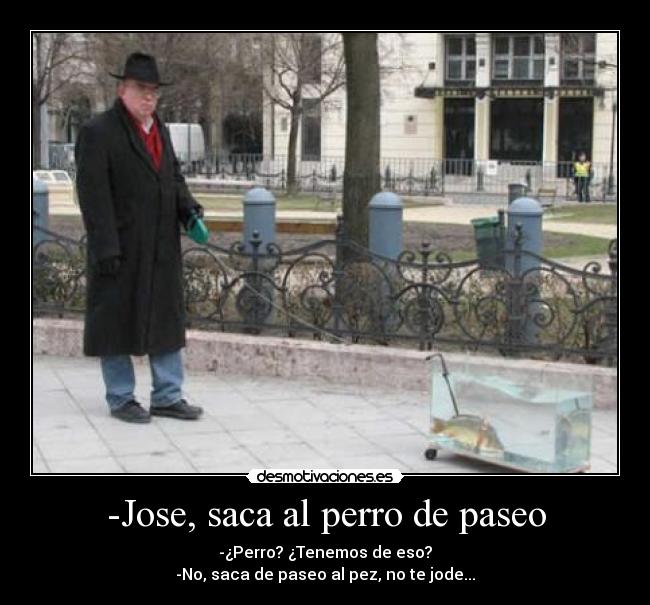 -Jose, saca al perro de paseo - -¿Perro? ¿Tenemos de eso?
-No, saca de paseo al pez, no te jode...