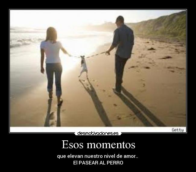Esos momentos - que elevan nuestro nivel de amor.. 
El PASEAR AL PERRO♥