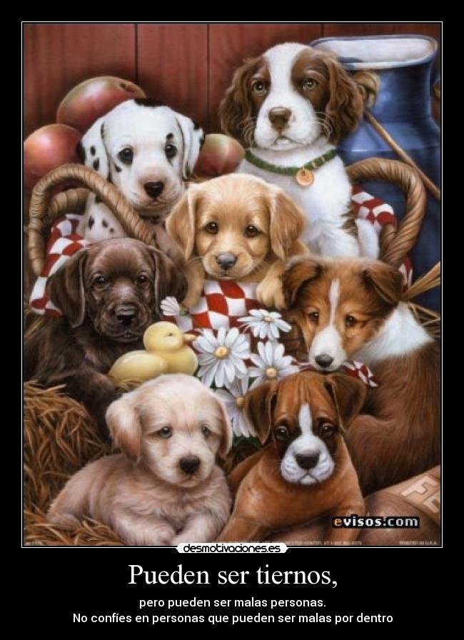 Pueden ser tiernos, - pero pueden ser malas personas.
No confíes en personas que pueden ser malas por dentro