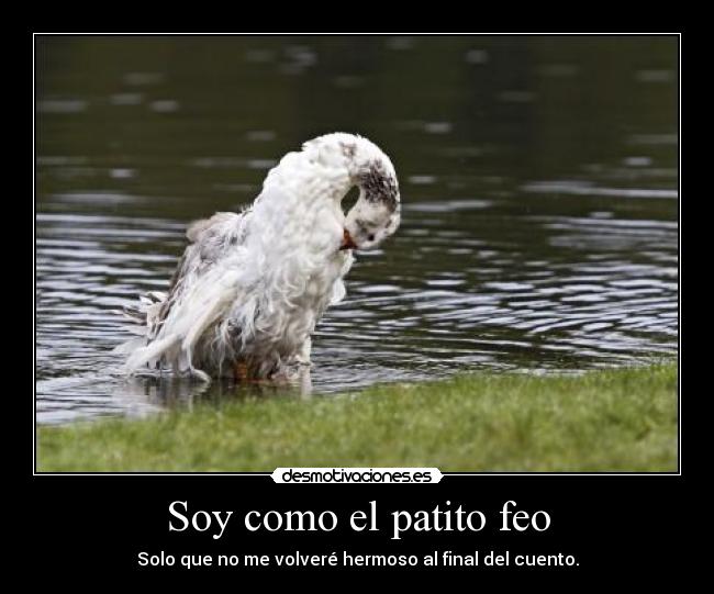 Soy como el patito feo -