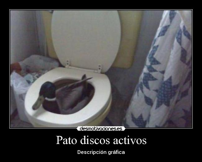 Pato discos activos - Descripción gráfica