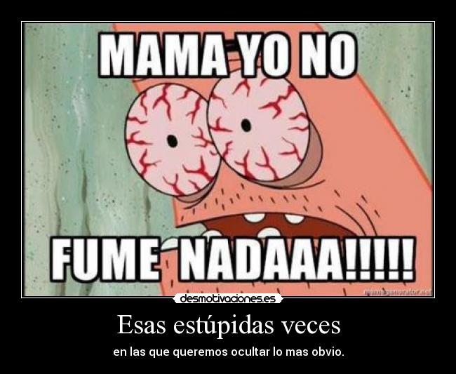 Imagenes Locas Y Estupidas | imagenes locas y estupidas apexwallpapers com Imagenes Locas Y Estupidas | imagenes locas y estupidas apexwallpapers com