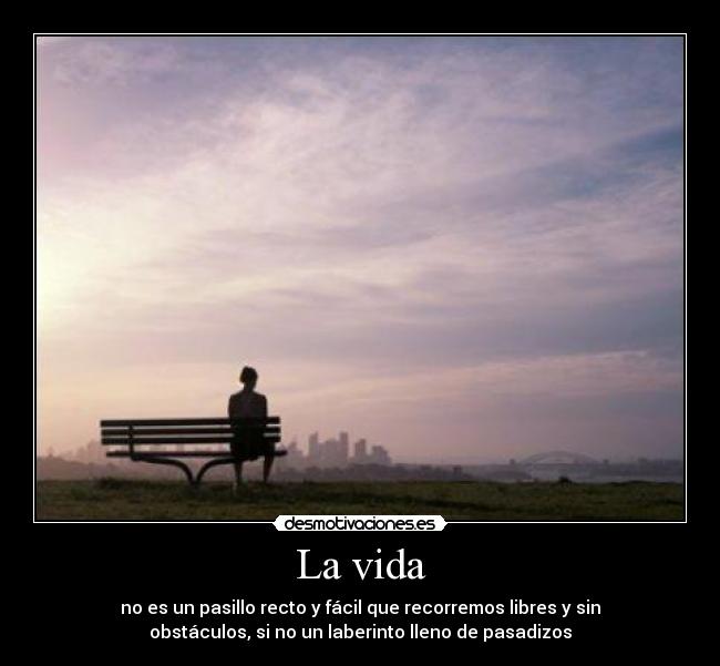 La vida - 