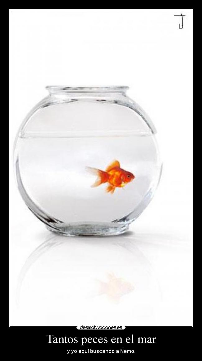 Tantos peces en el mar - y yo aquí buscando a Nemo.