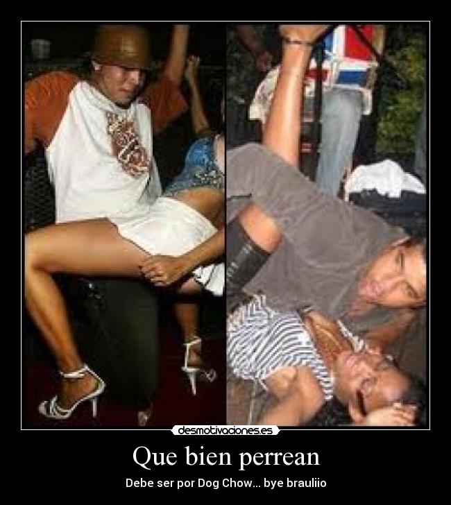 Que bien perrean -