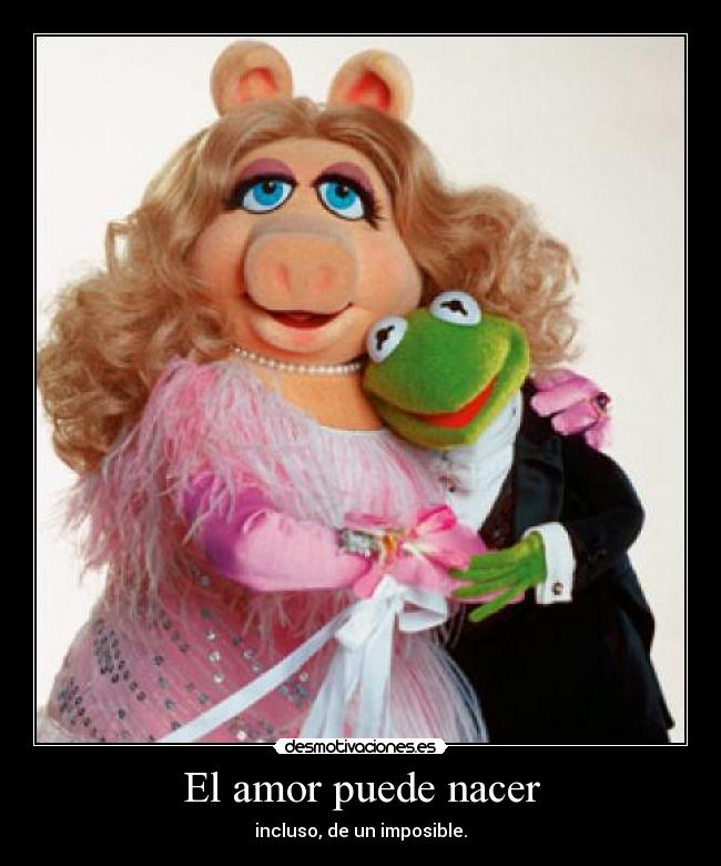 El amor puede nacer - 