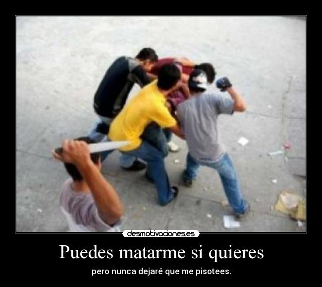 carteles nunca pisotees conchetumare soy chile desmotivaciones