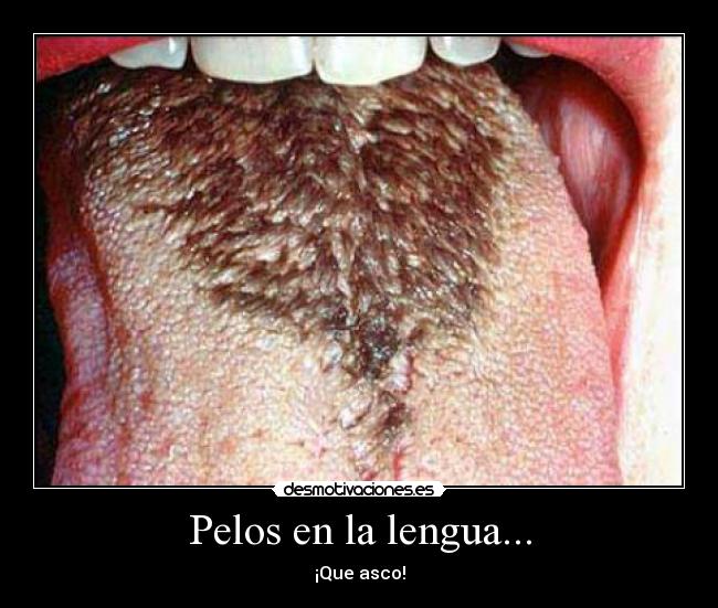 carteles pelos lengua desmotivaciones