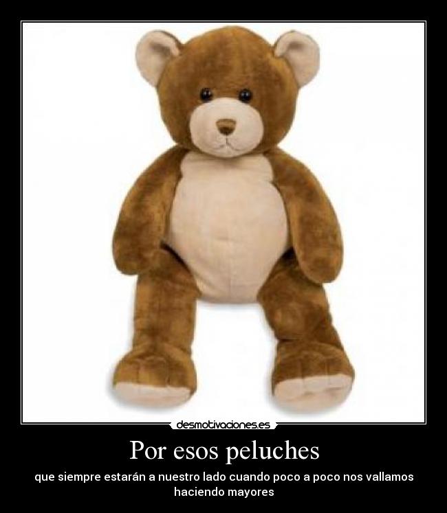Por esos peluches - que siempre estarán a nuestro lado cuando poco a poco nos vallamos
haciendo mayores